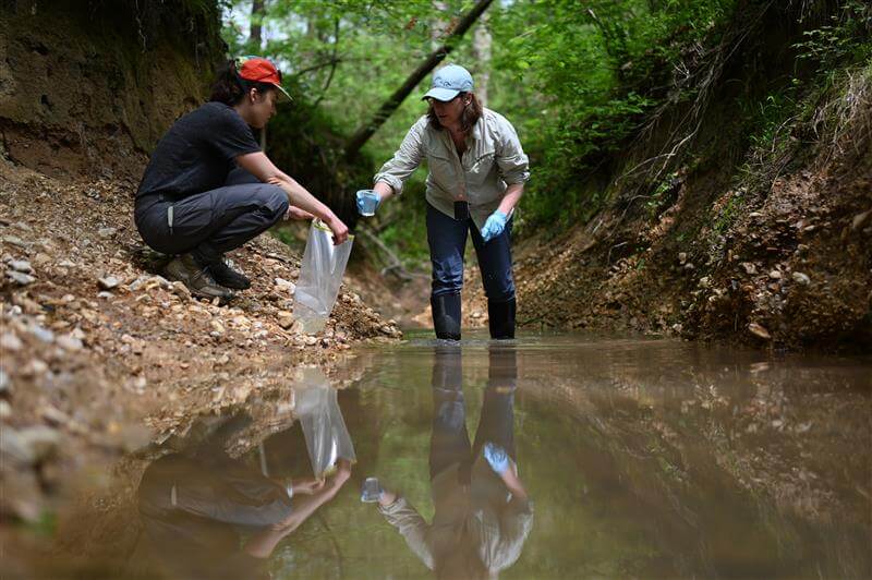 Image for Another testing article