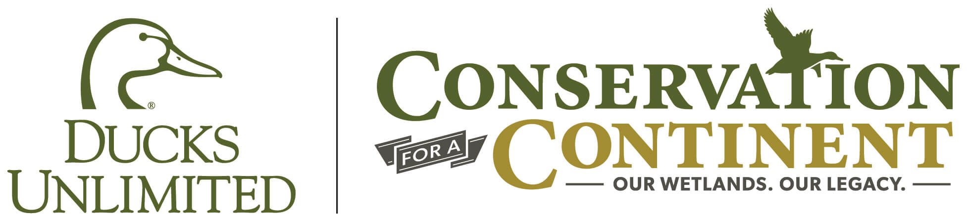 DU CFAC logo compressed.jpg