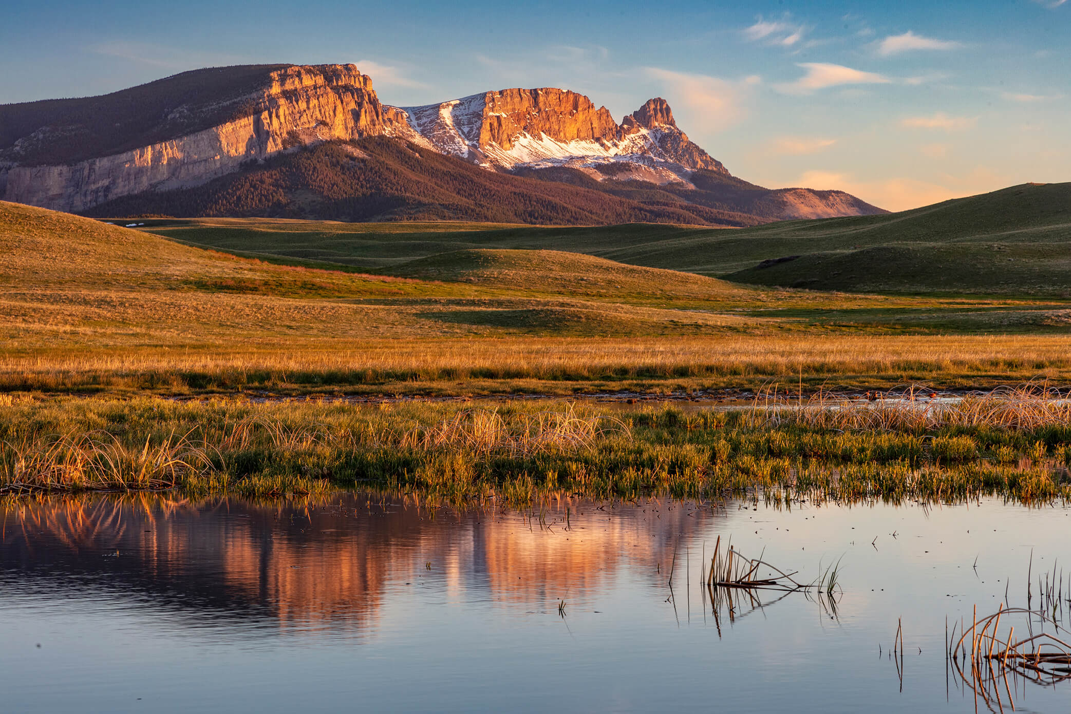 Image for Ducks Unlimited Applauds Montana's Creation of Habitat Legacy Account