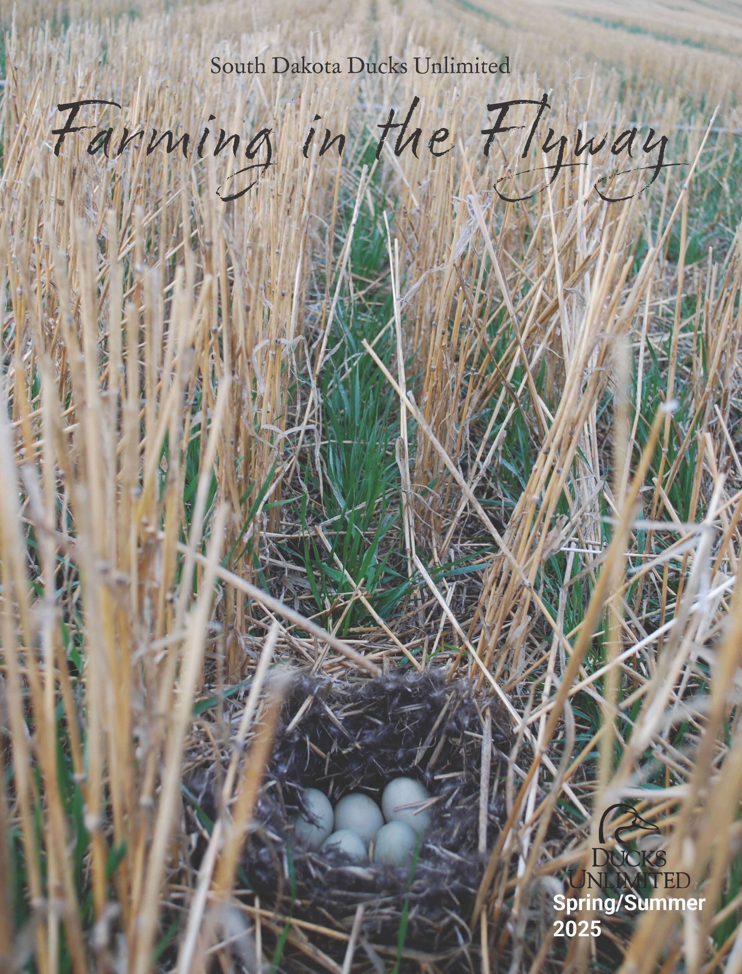 Farming in the Flyway: Spring, 2025