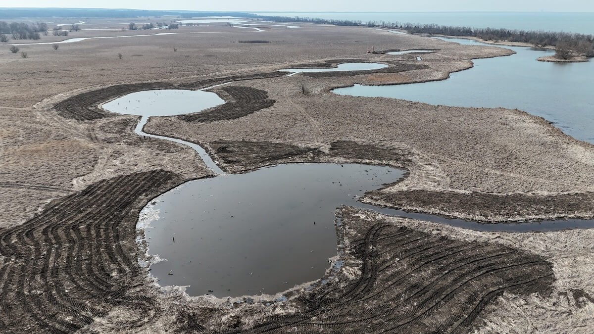 Image for Ducks Unlimited and Partners Complete Wetland Enhancement in New York’s Lakeview WMA