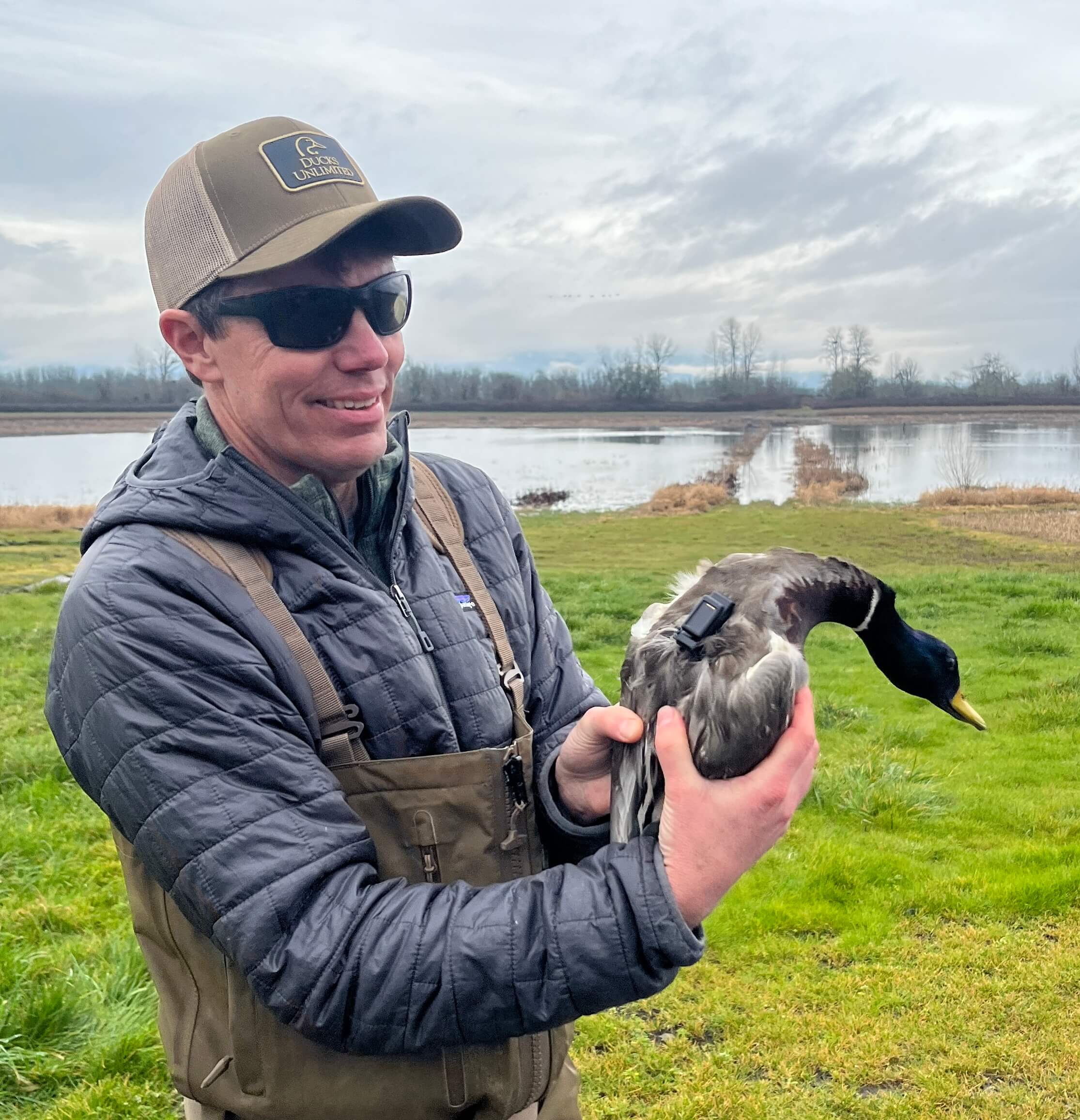 PATRICK DONNELLY, PHD 