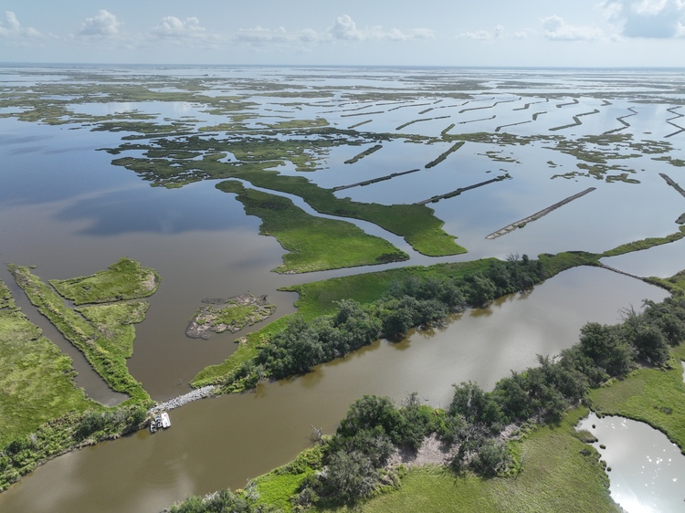 Image for Protecting Marshes, Preserving Culture: Restoring Coastal Resilience in Pointe-au-Chien