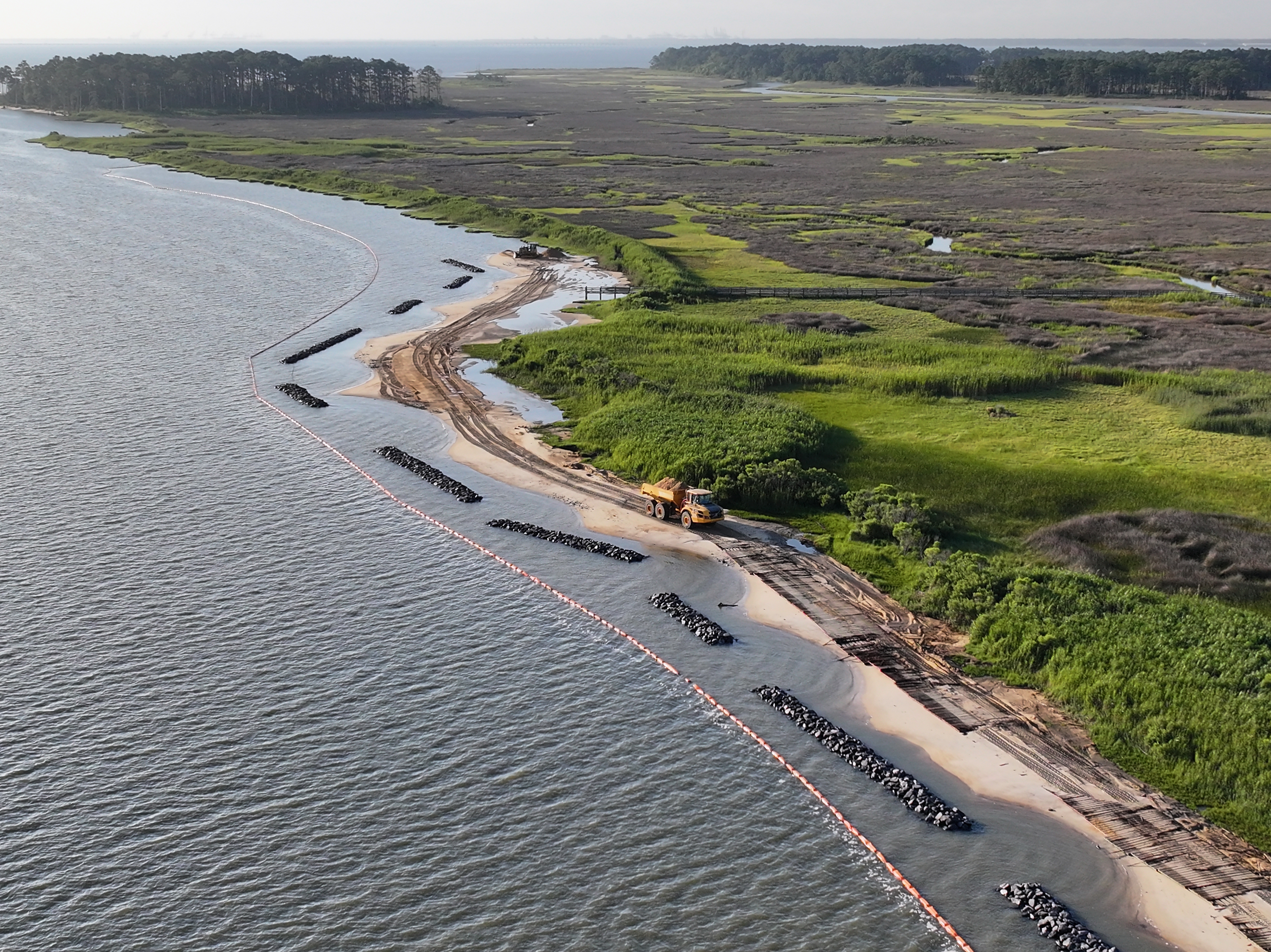 Turning the Tide: DU and Partners Protect Virginia’s Coastal Wildlife