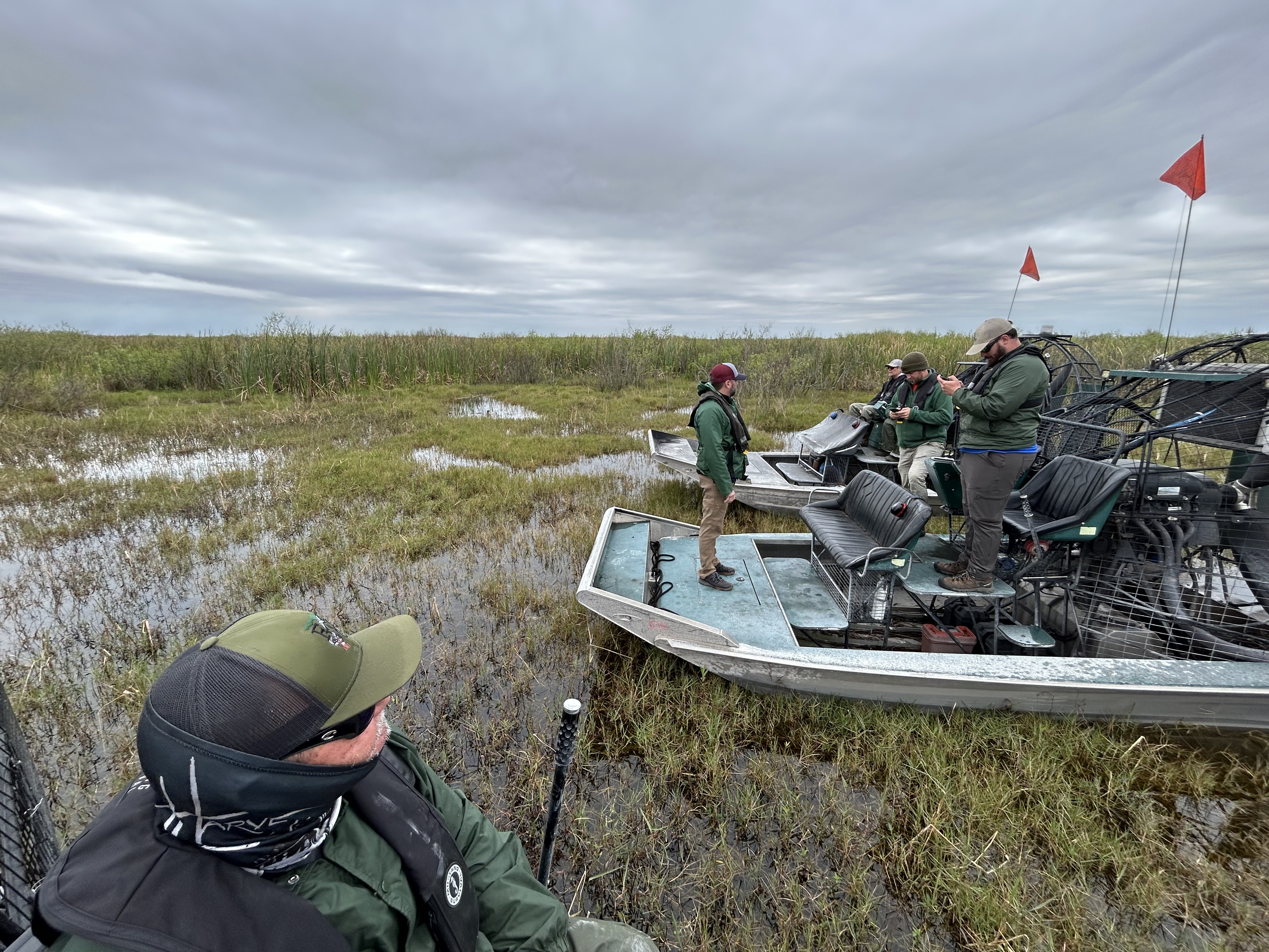 Image for Migratory Bird Conservation Commission Approves $2.99 Million NAWCA Grant for Major Everglades Wetland Restoration Effort