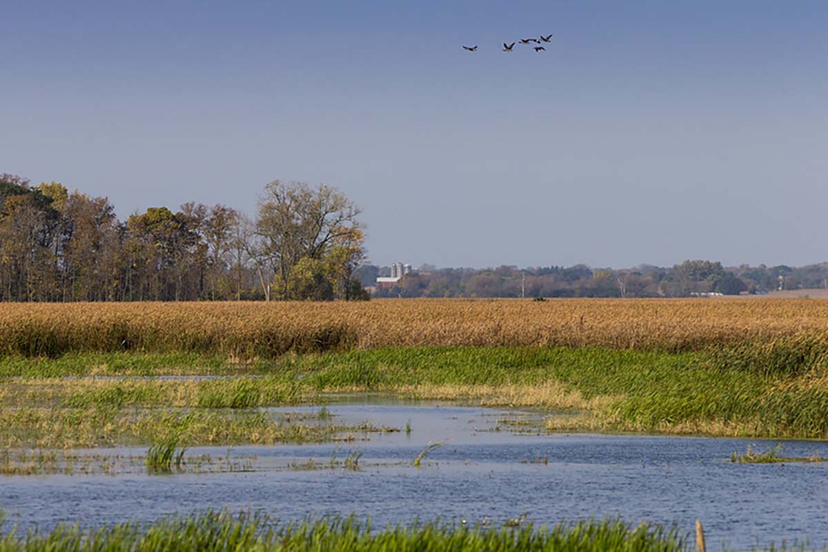 Image for $10.7 Million Awarded For Great Lakes Conservation 