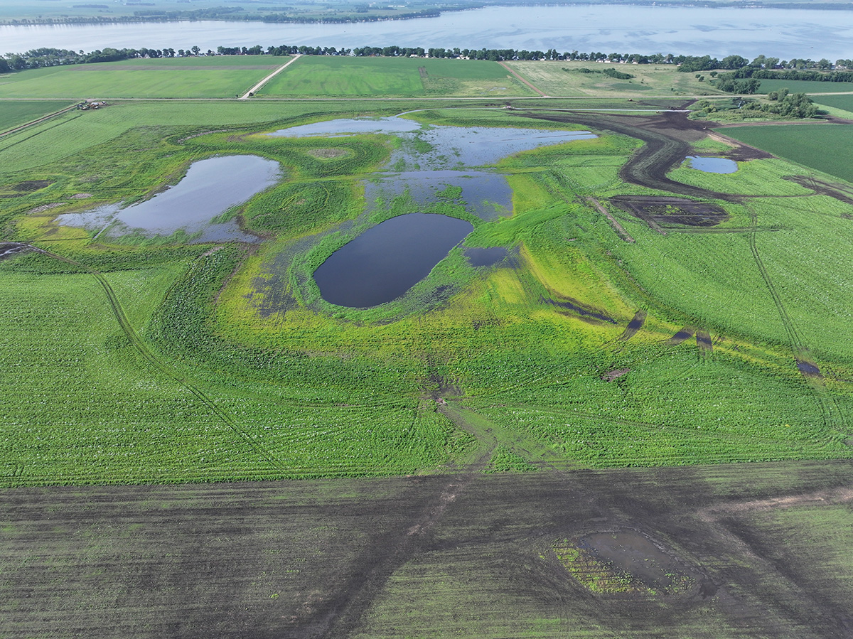 Image for $2.6 Million Moore Slough Restoration Creates Habitat, Clean Water in Minnesota’s Prairie Pothole Region 