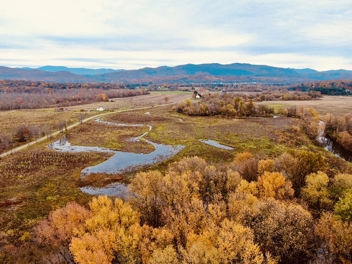 Image for In-Lieu Fee Program Fuels Conservation at Three Mile Bridge WMA