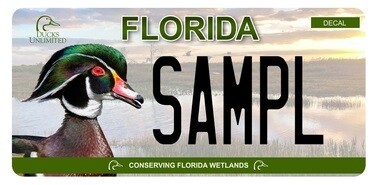 Image for Florida DU License Plate Available Now