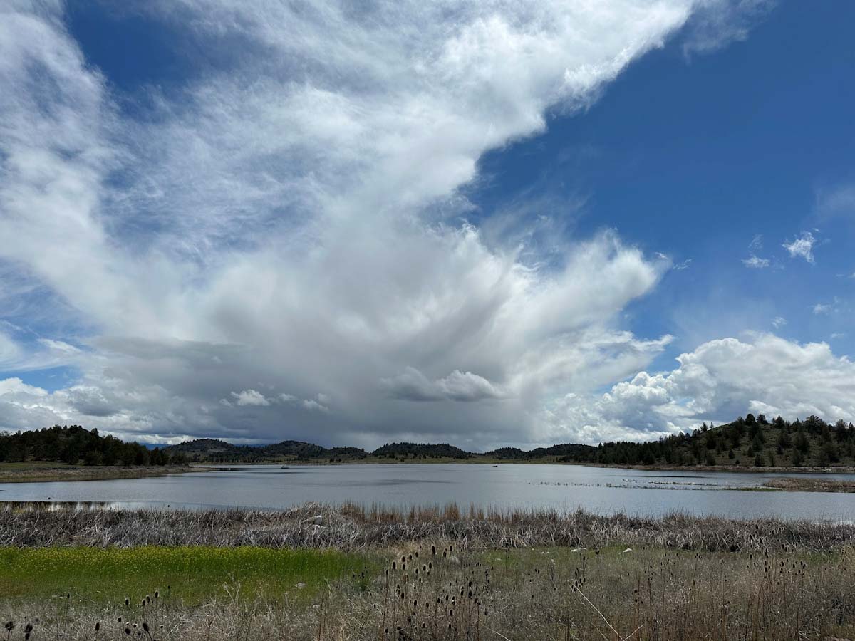 Image for Northeastern California hunters facing another challenging season in the Klamath Basinhttps://www.ducks.org/newsroom/californias-waterfowl-hunters-get-a-boost-thanks-to-wet-winter