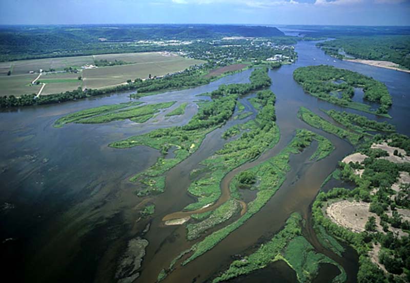 Image for Coalition to Restore 5,435 Acres of Mississippi River Floodplain 
