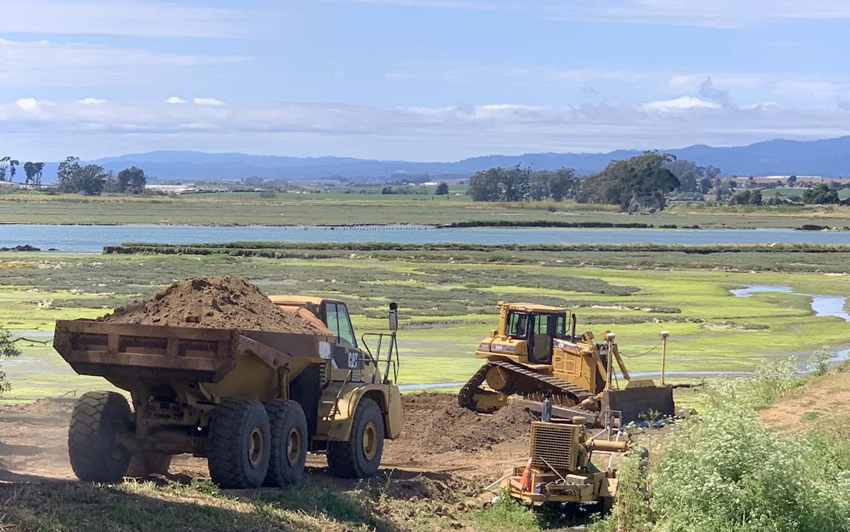 elkhorn slough.jpg