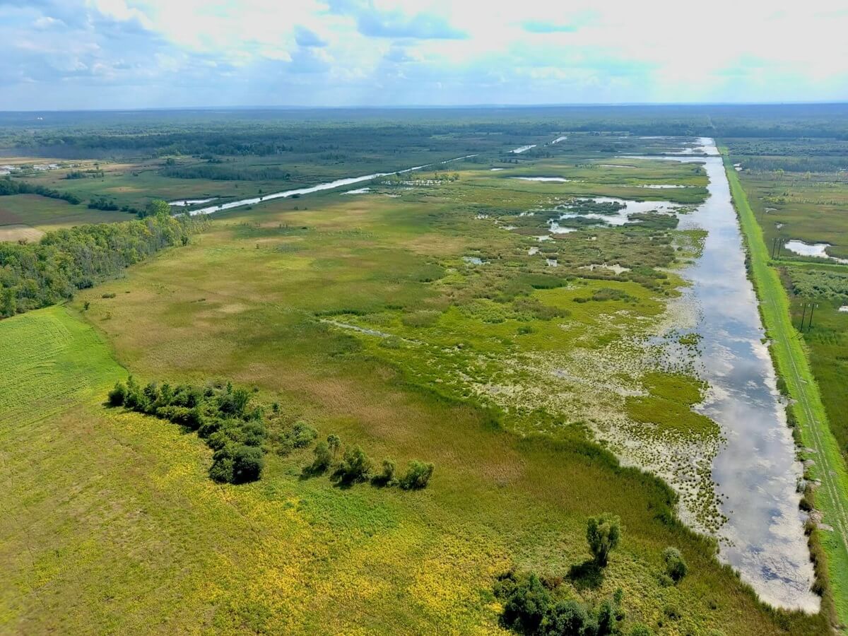Ducks Unlimited Awarded $1.2 million Water Quality Improvement Project Grant for Wetland Restoration in New York  