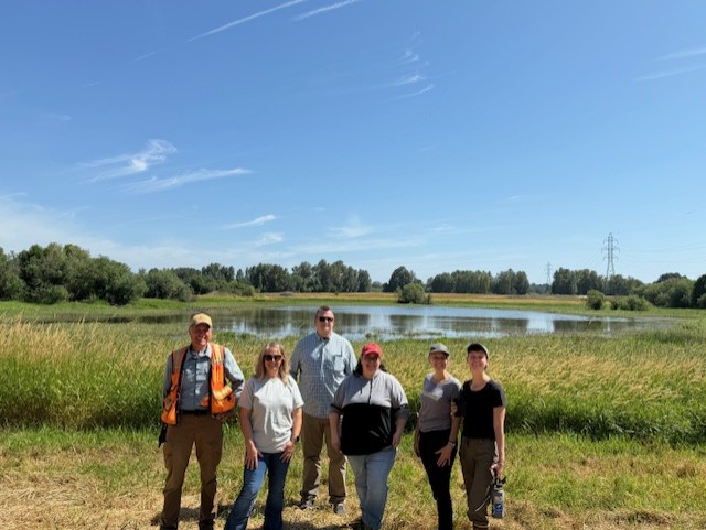 Image for Reviving Wetlands: Washington’s Shillapoo Wildlife Area Gets Major Infrastructure Upgrade To Boost Habitat and Recreation 