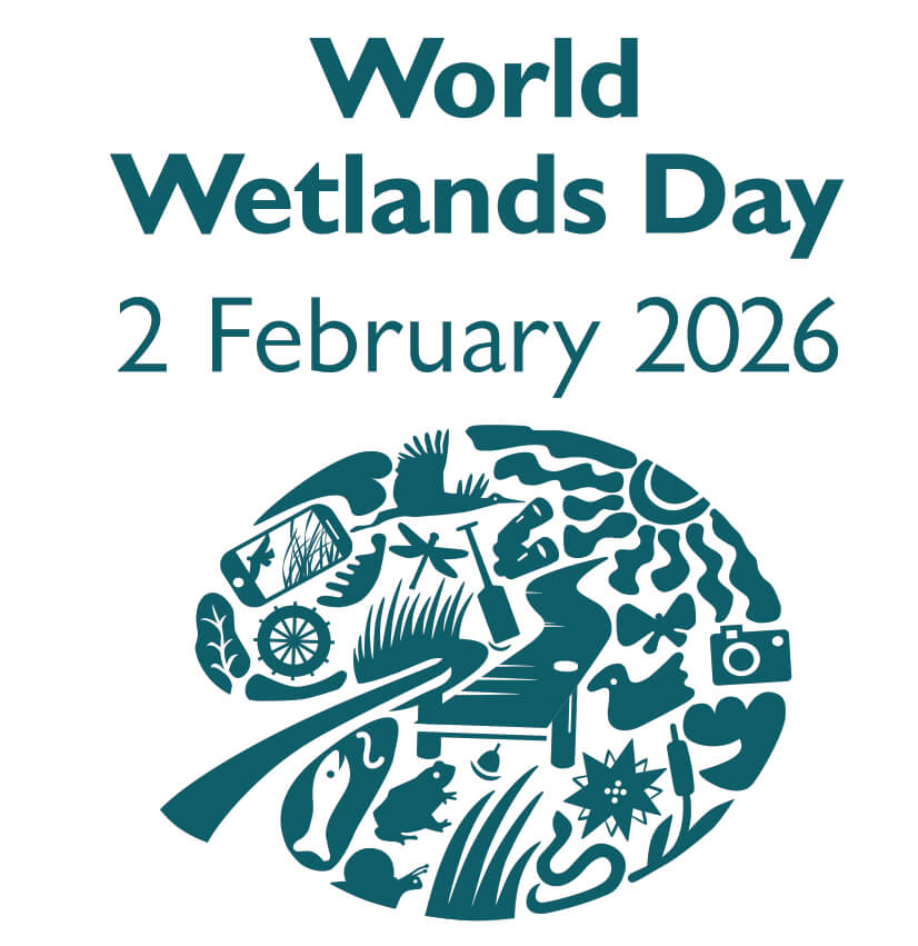 Image for Ducks Unlimited Celebrates 2026 World Wetlands Day
