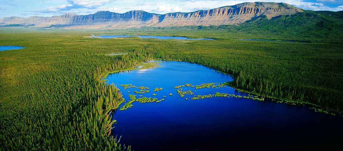 North America's Boreal Forest