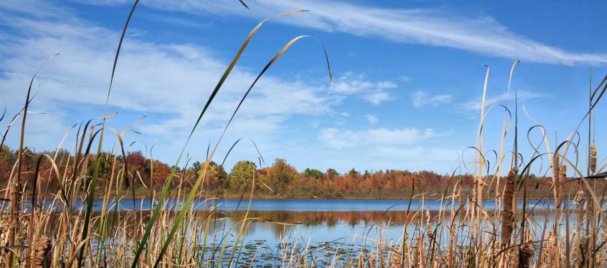 Coastal wetlands and outdoors