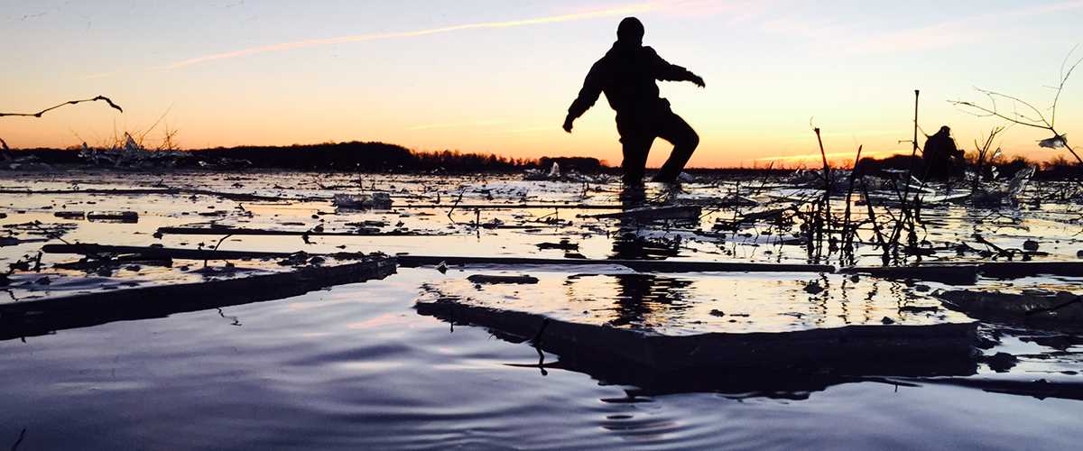 Wes Bonds rice hunters