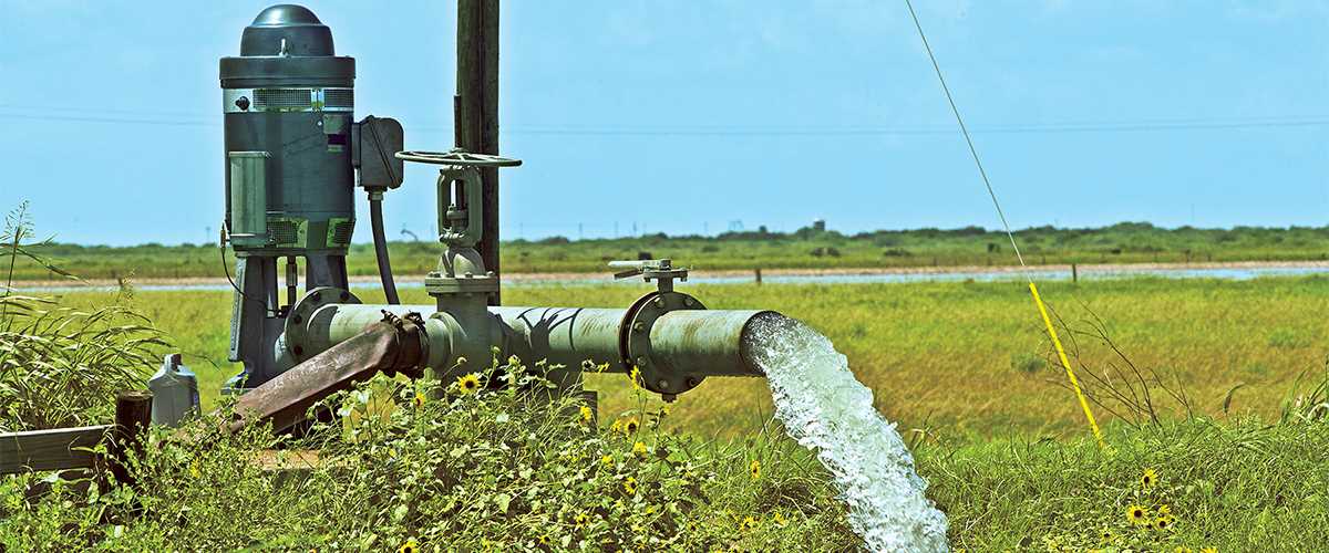 Todd Steele well water grass