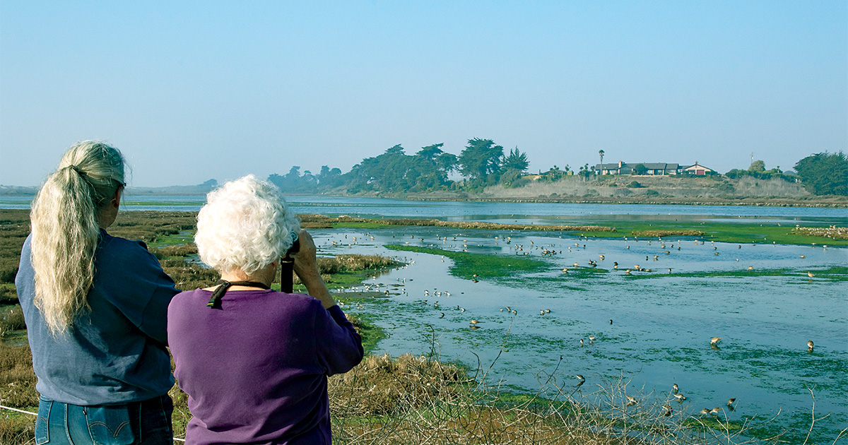 People watching waterfowl and other birds. Photo by Michael Peters
