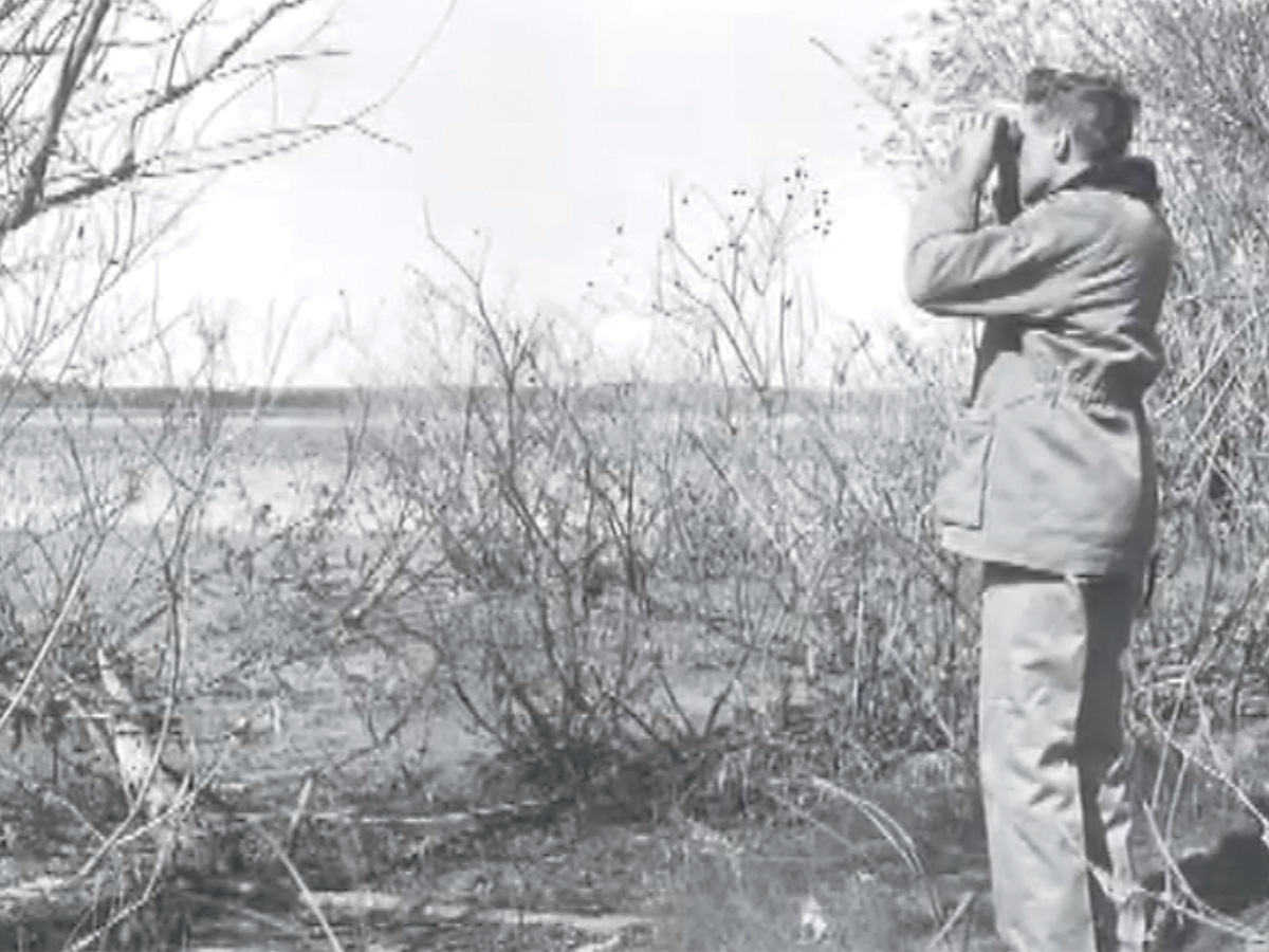 Frank Bellrose with binoculars. Photo courtesy of Forbes Biological Station
