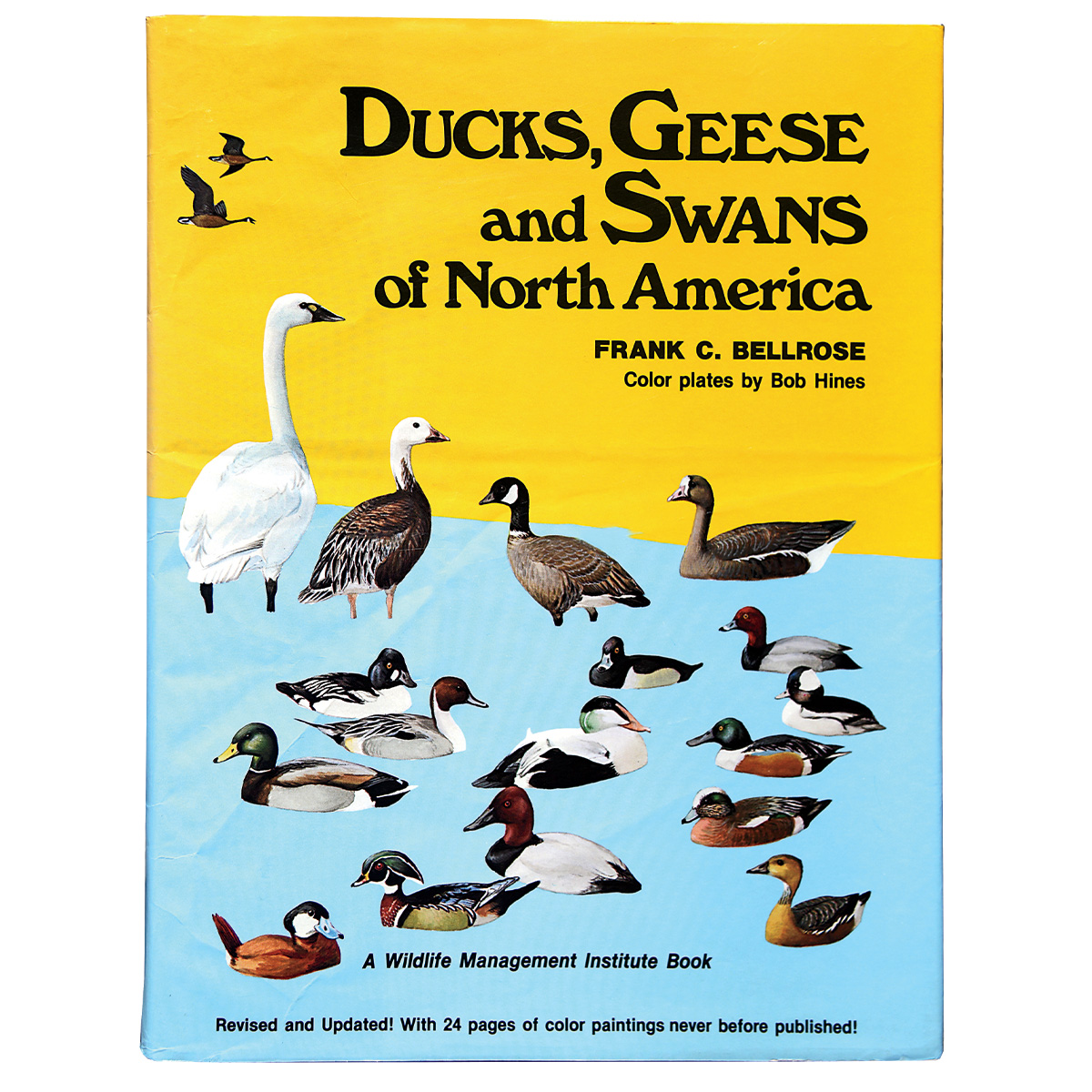 Ducks, Geese and Swans on North America by Frank C. Bellrose