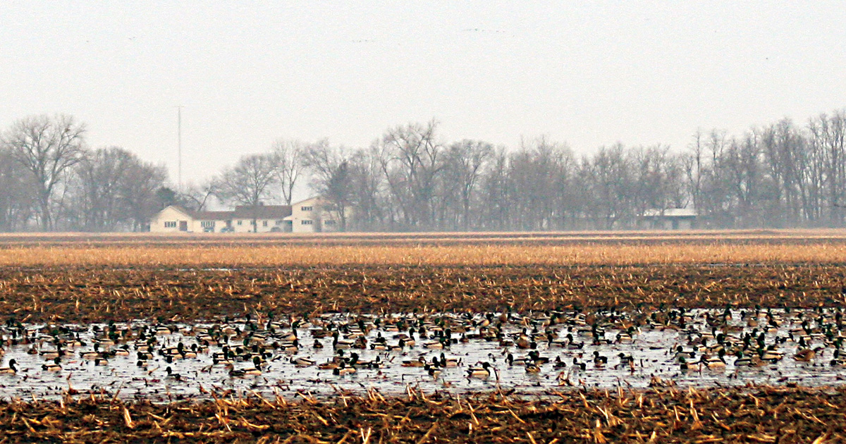 Photo Courtesy of Forbes Biological Station