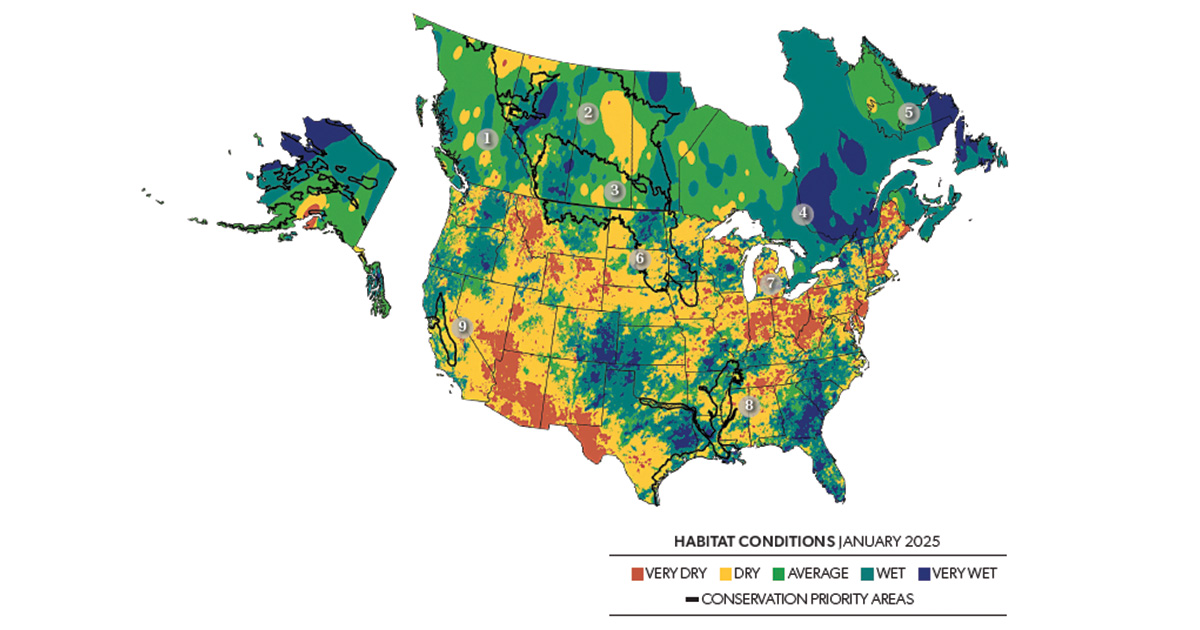 January 2025 Waterfowl Habitat Conditions Map