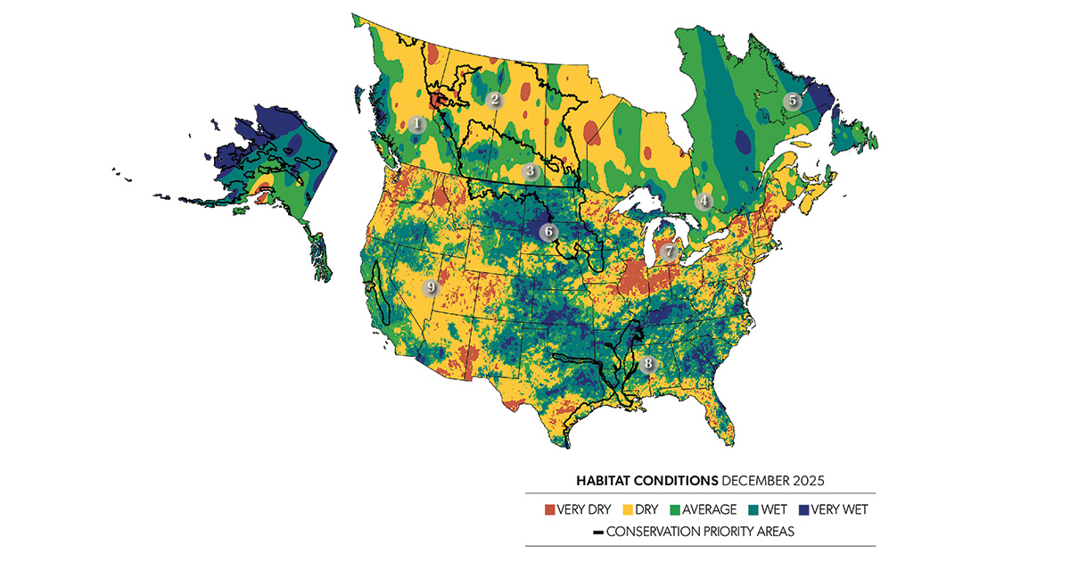 Field Reports: Winter Habitat Outlook