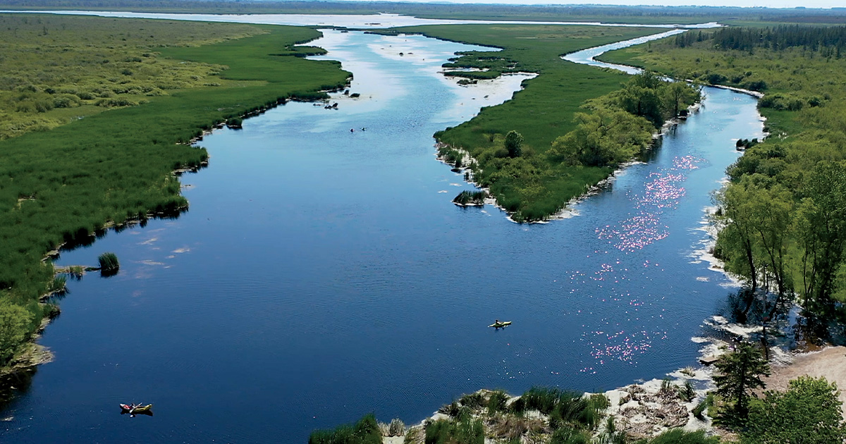 Wisconsin's Sheboygan Broughton Marsh. Photo by Chris Sebastian_Ducks Unlimited.jpg