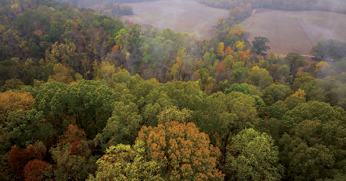 Como, Mississippi. Photo by Rory Doyle