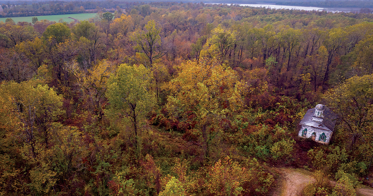 Rebirth of the Bottomlands