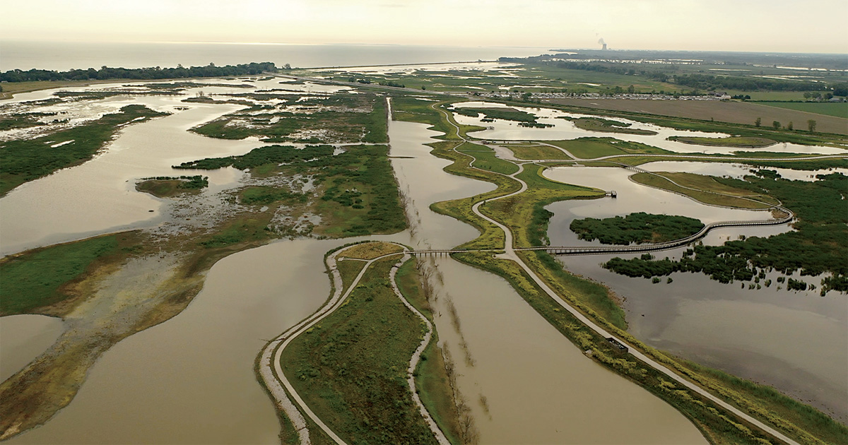 Howard Marsh Metropark near Toledo, Ohio. Photo by Chris Sebastian, DU