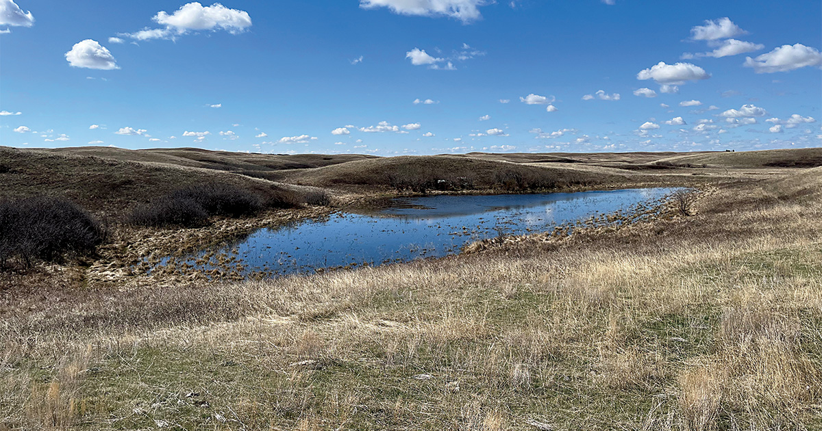 Prairie pothole in Canada. Photo by Ducks Unlimited Canada