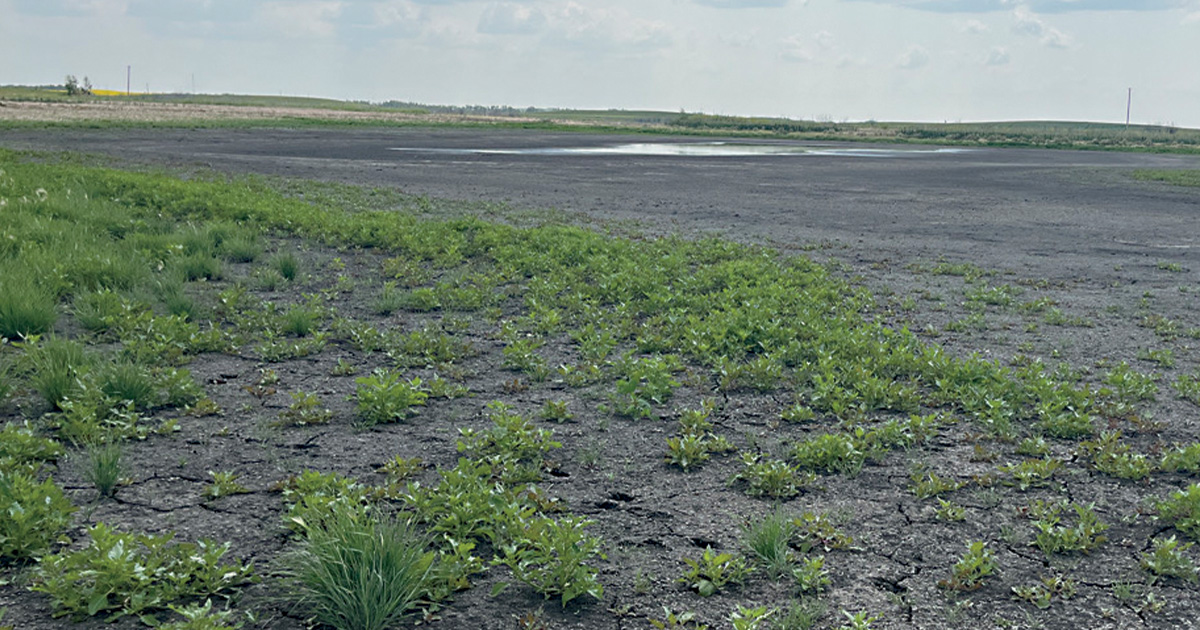 Prairie Canada. Photo by DU Canada