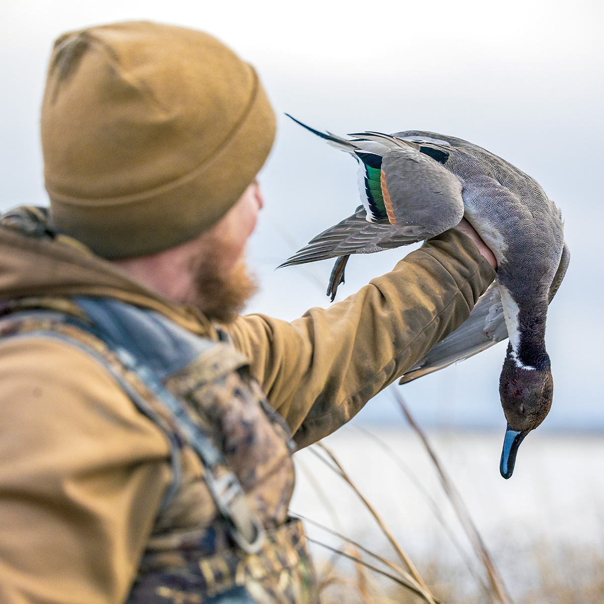 Hunter and harvested pintail. Photo by dougsteinkephotos.com