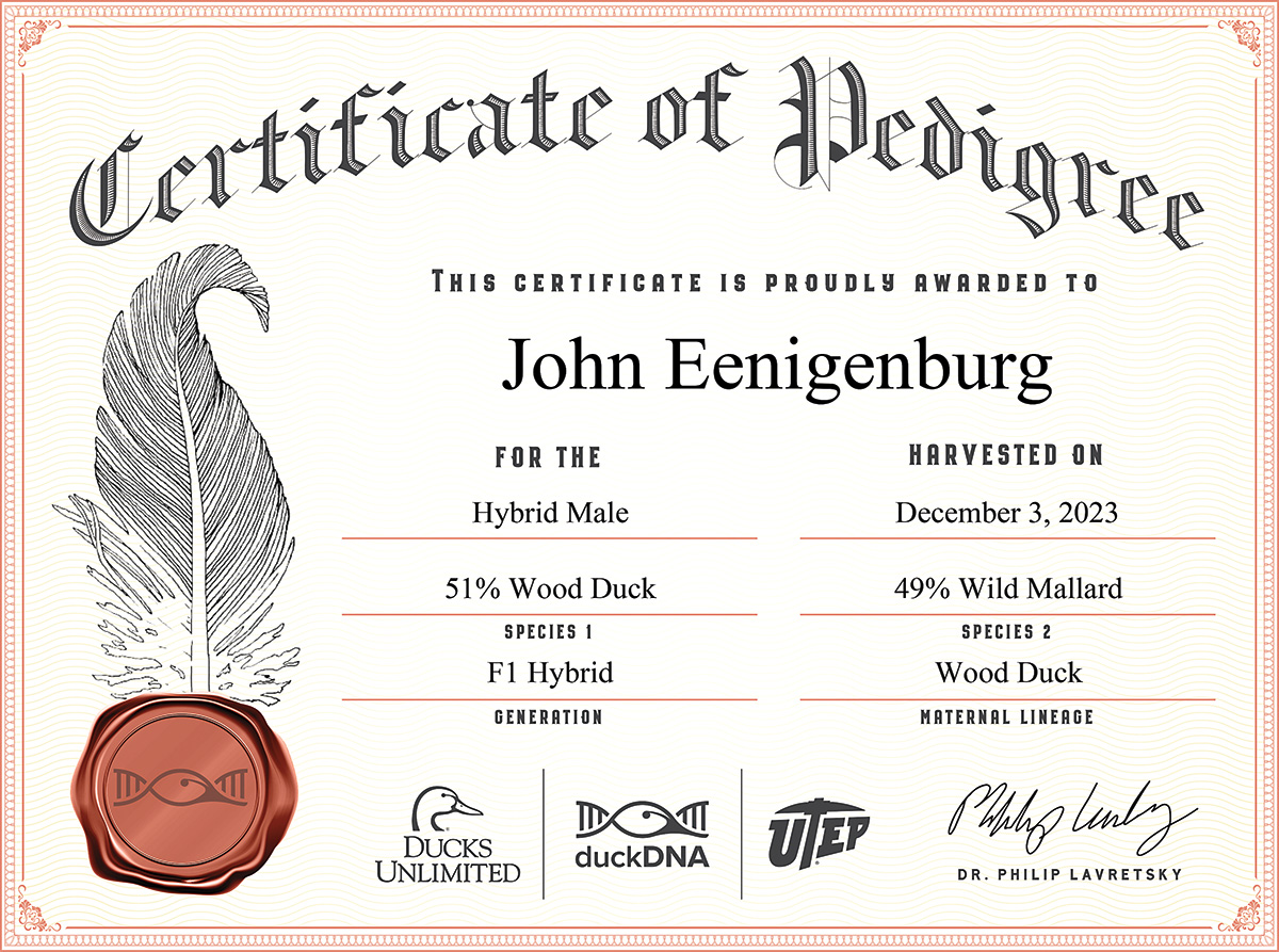 John Eenigenburg's duckDNA Certificate.jpg