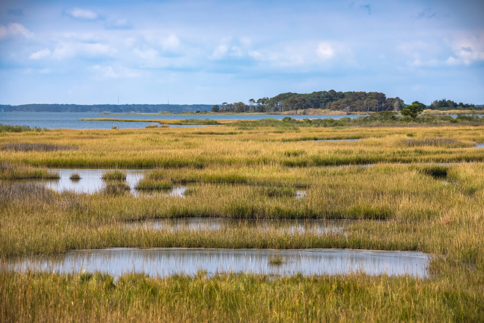 Mid Atlantic Coast Photo