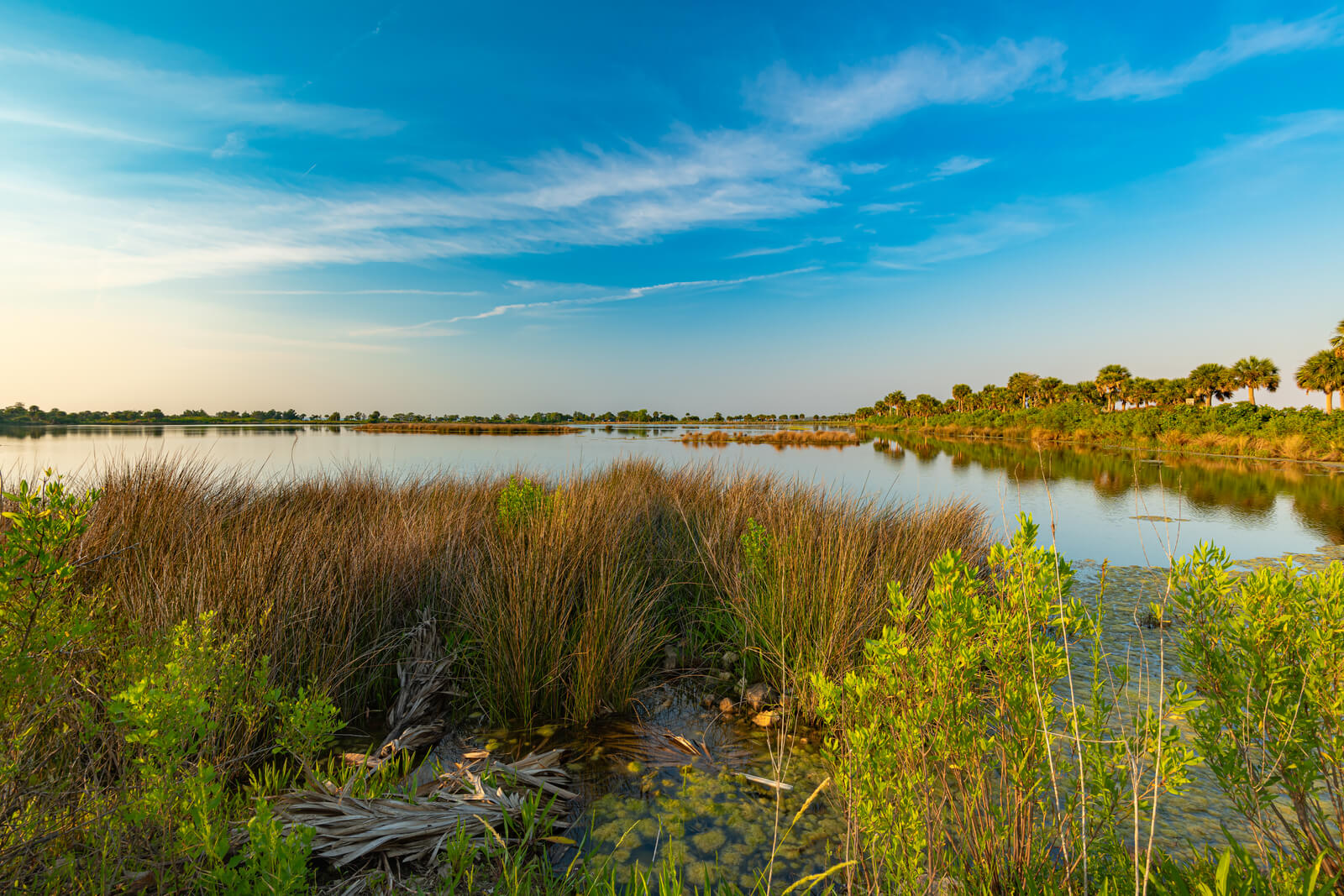 Peninsular Florida Photo