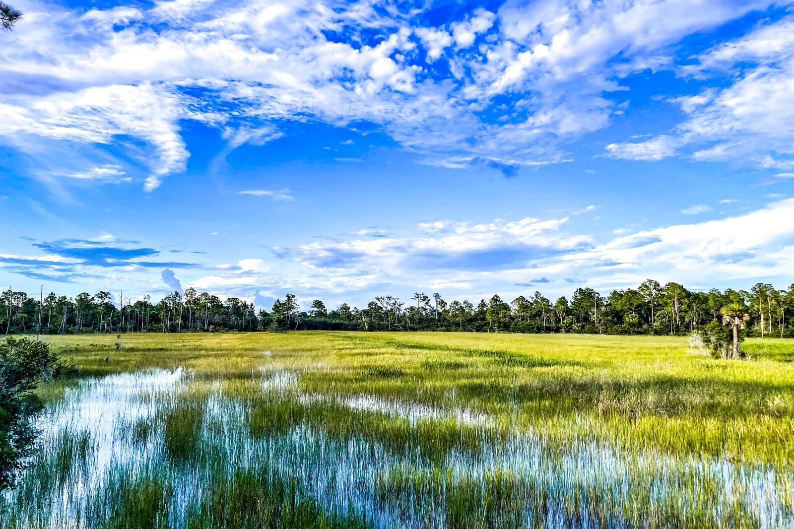 West Gulf Coastal Plain Photo