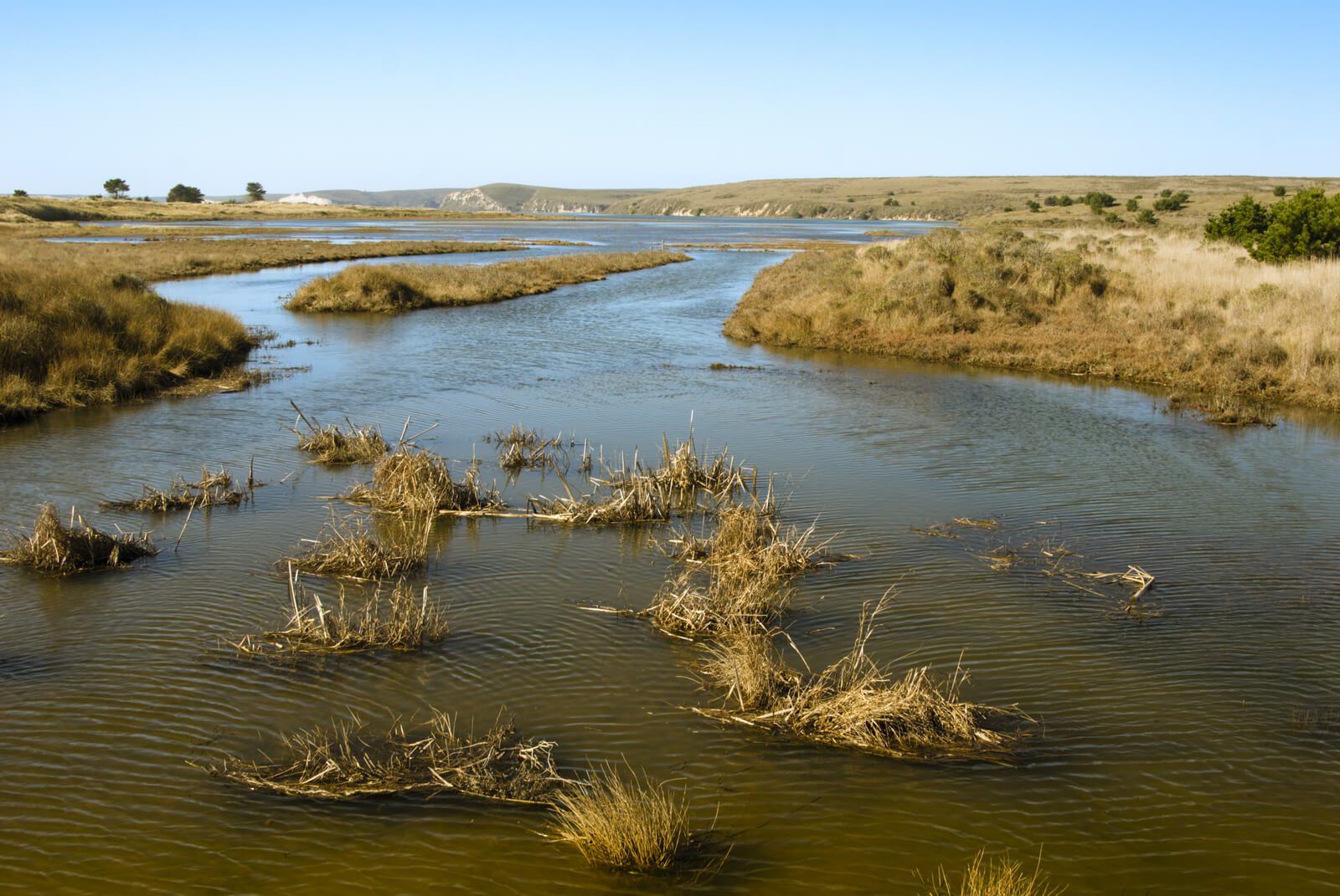 Baja California Desert