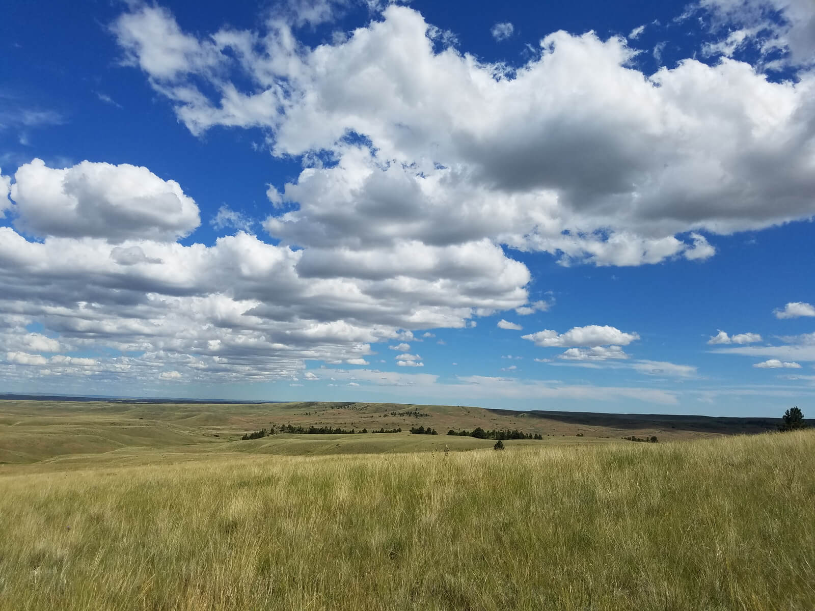 Northwestern Great Plains Photo