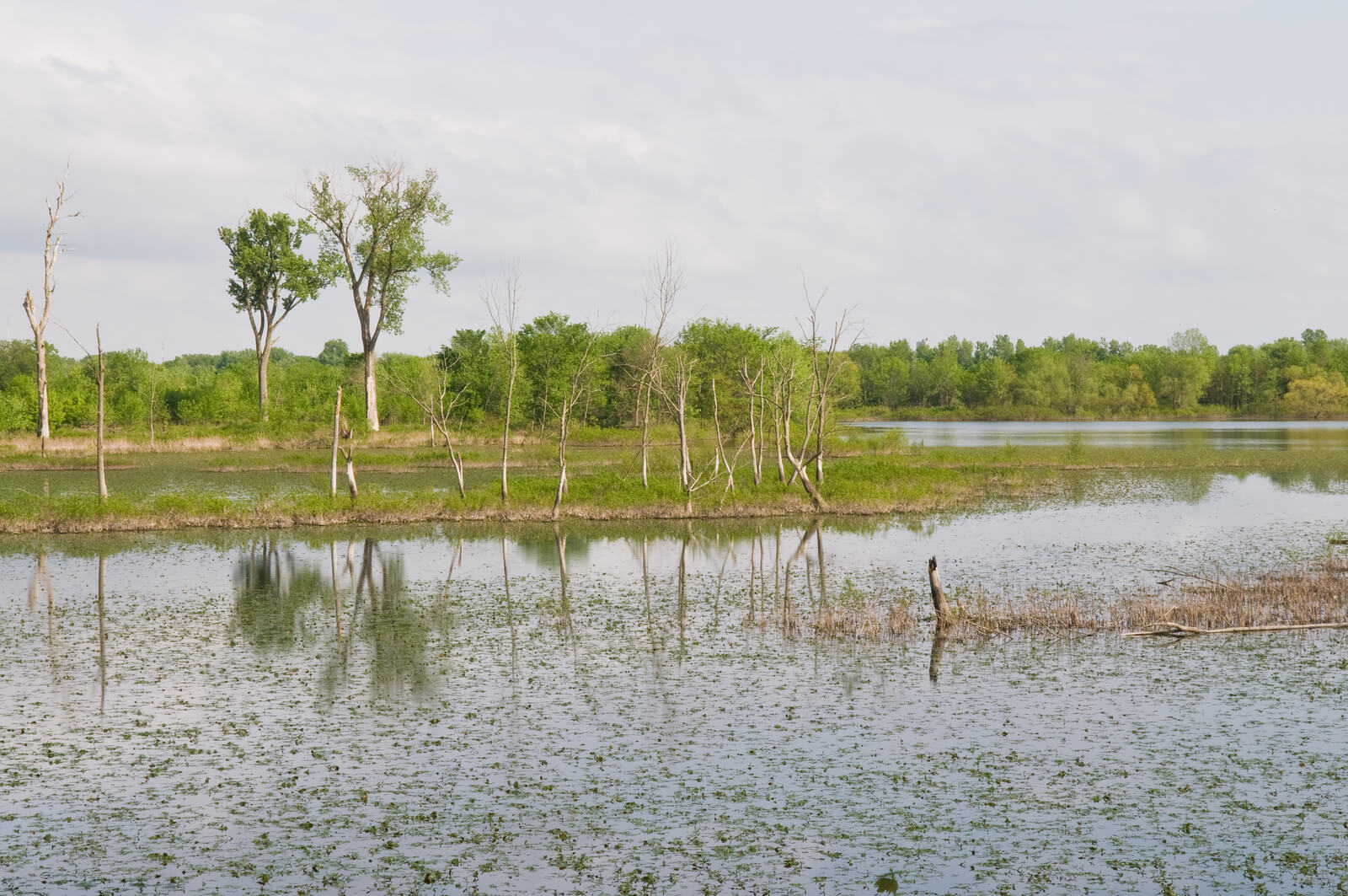 Upper Mississippi River Photo