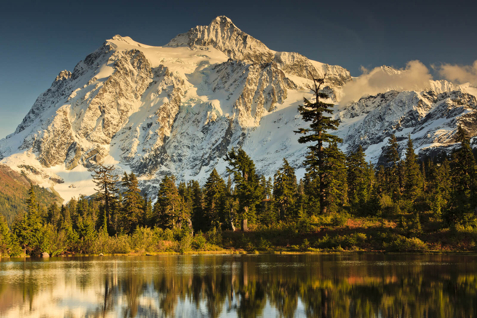 Western Boreal Forest - Alaska