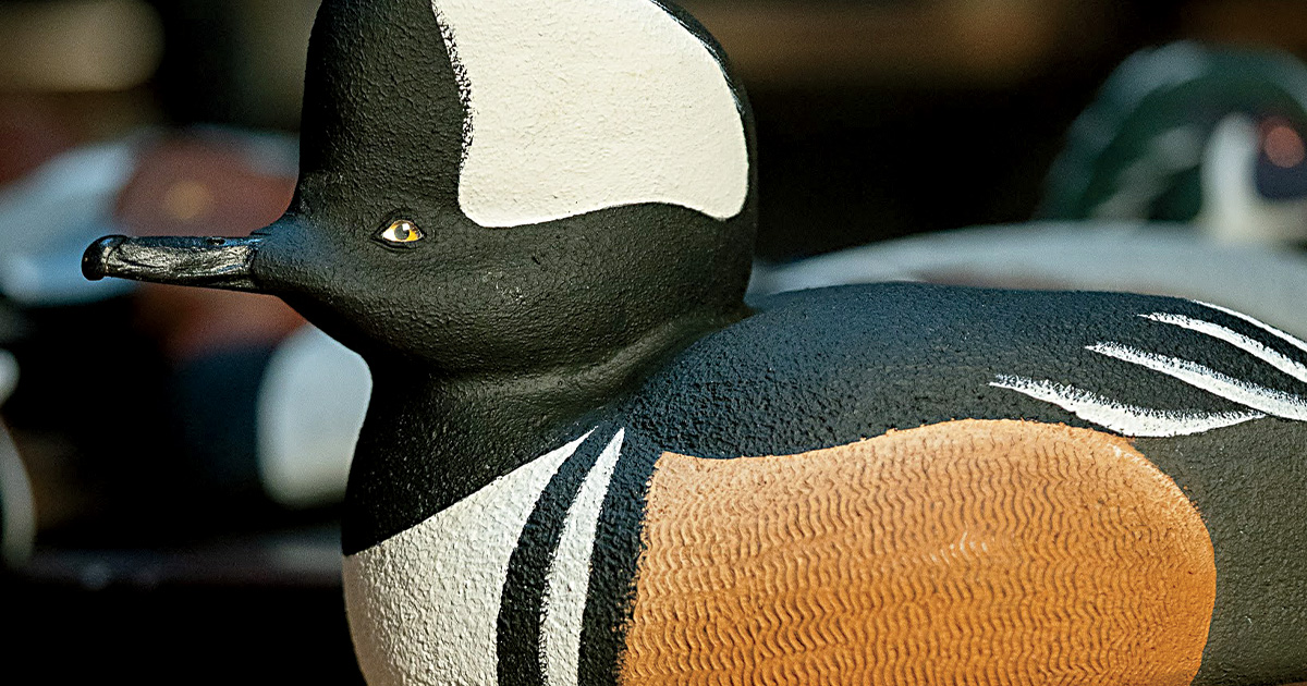 Image for Carve Your Own Decoys