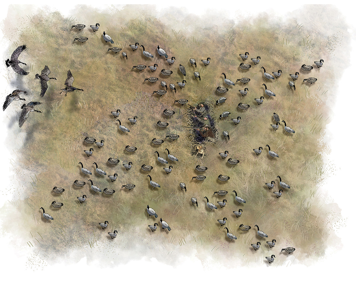 X decoy spread. Illustration by Gary Cox.jpg