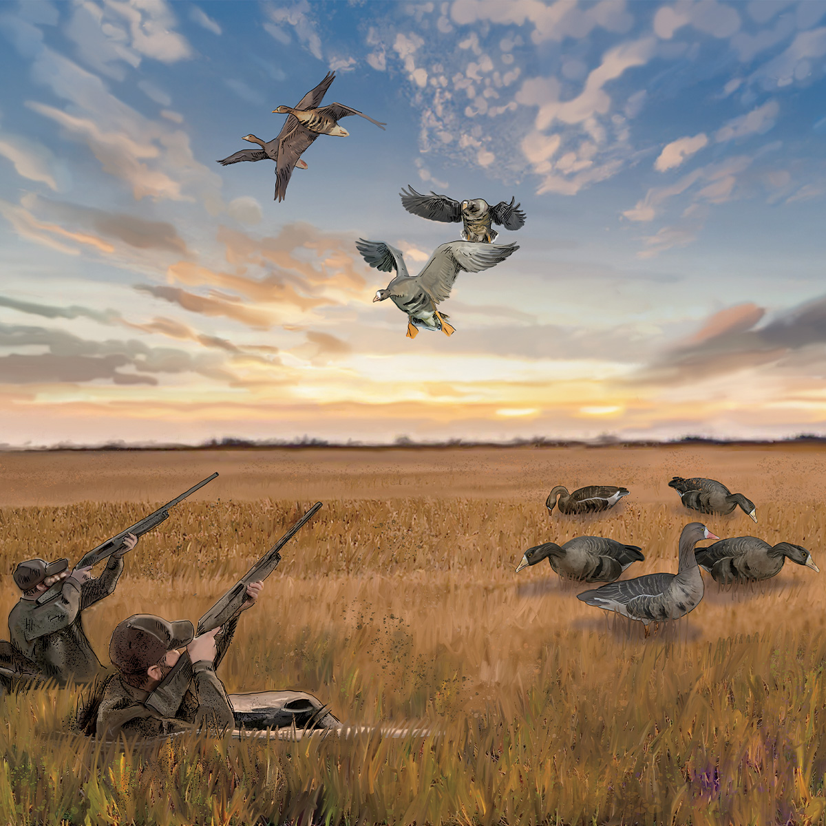 Illustration of Brook Richard's Arkansas Specklebelly Spread. Illustration by Gary Cox