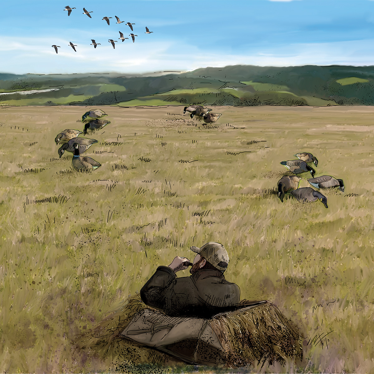 Illustration of M.D. Johnson's Washington Honker Spread. Illustration by Gary Cox