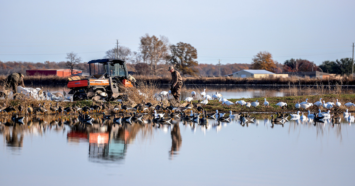 Hunters placing decoys in their hunting location. Photo by John Hoffman, Ducks Unlimited