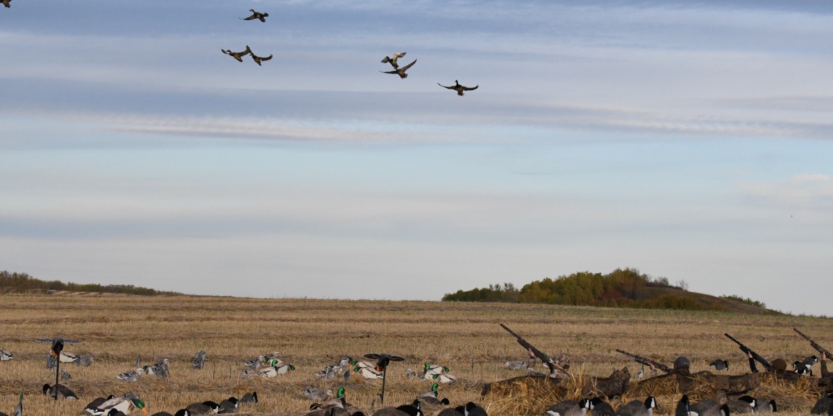 Five Central Flyway Public Land Hotspots for 2020
